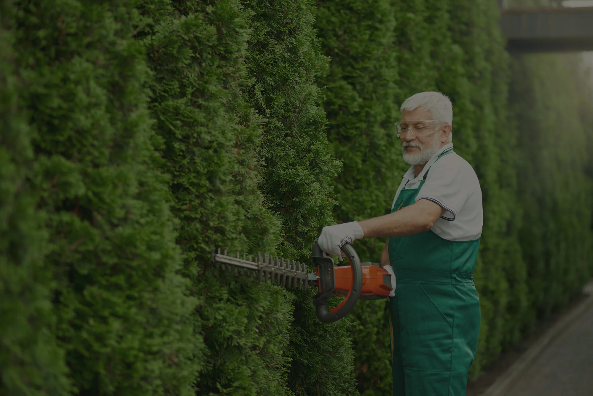 Header Image 1