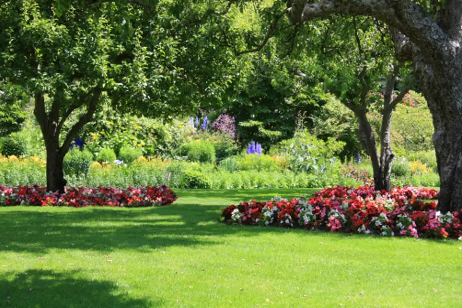 Tree Planting Services